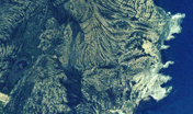 Isola di San Pietro, foto aerea